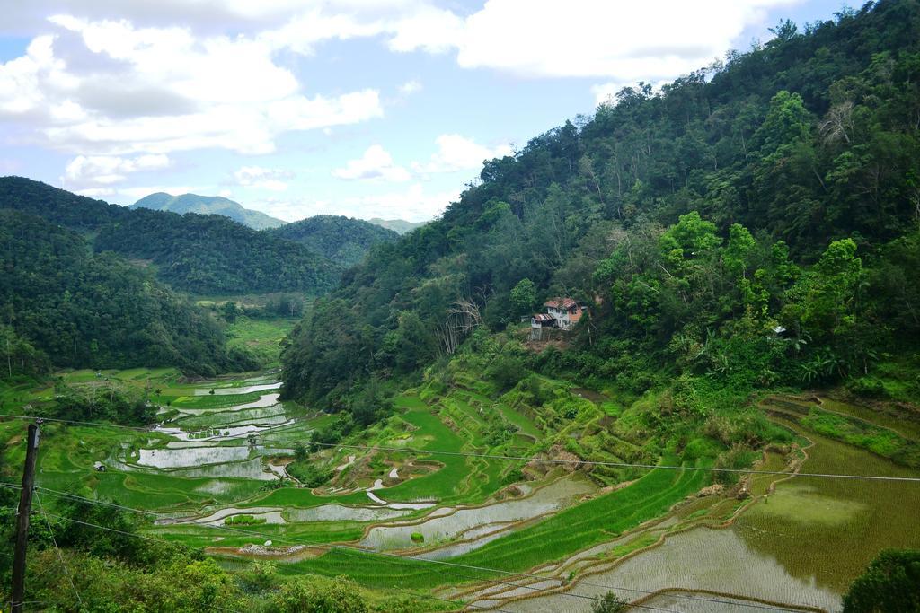 Banaue Greenfields Inn Bagian luar foto